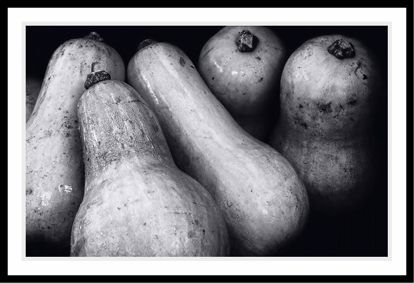 A black and white study of Five Gourds.